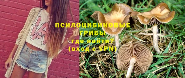 mdpv Медвежьегорск