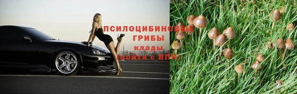 mdpv Медвежьегорск