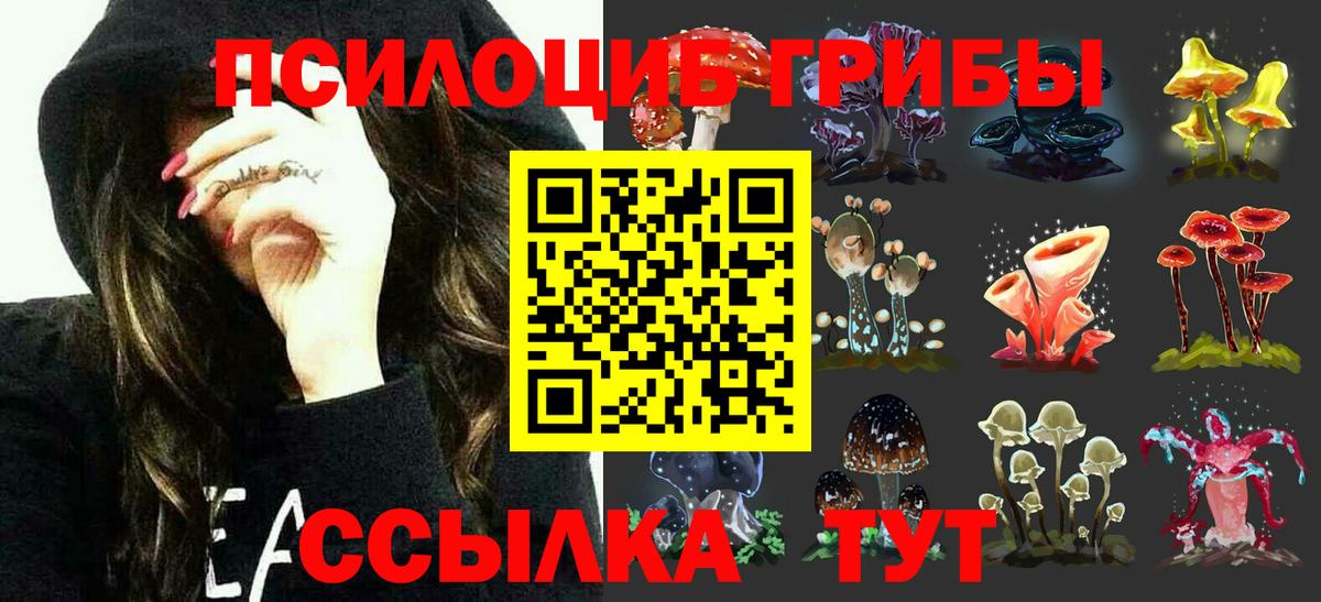 Галлюциногенные грибы MAGIC MUSHROOMS Липецк