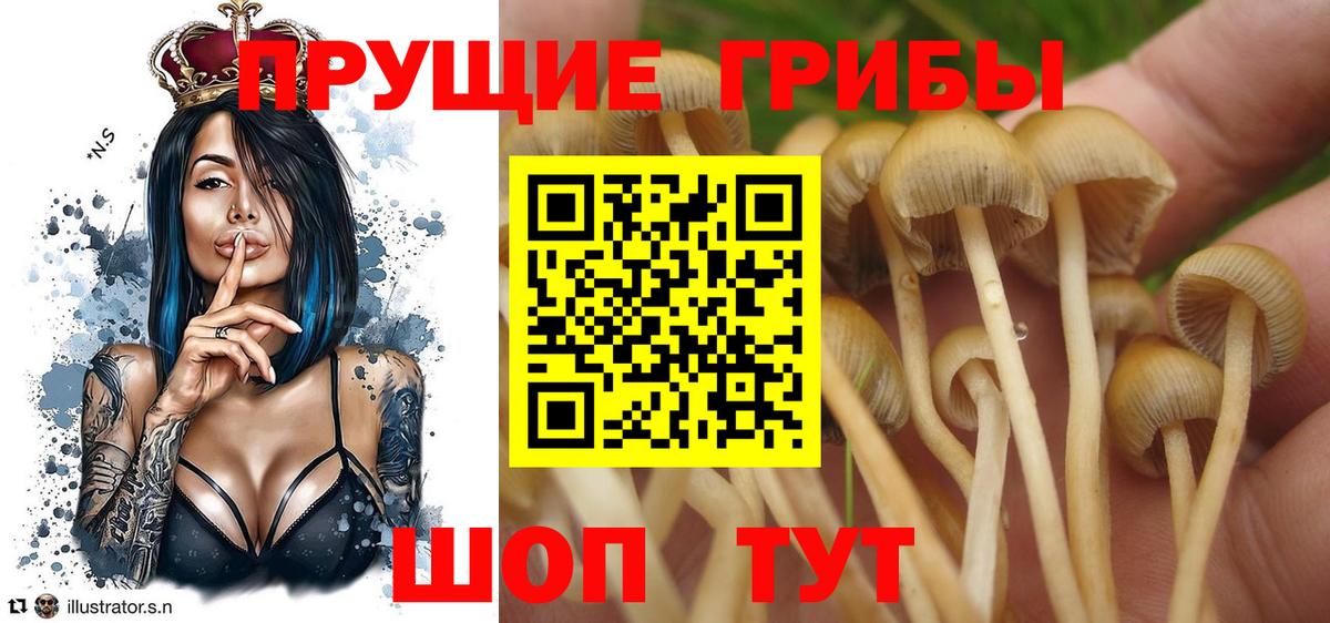 Липецк  Галлюциногенные грибы GOLDEN TEACHER  Вход с VPN 